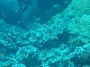 sm_AR-P9034089.JPG