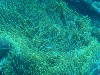 sm_AR-P9034092.JPG