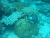 sm_AR-P9034118.JPG