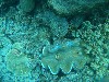 sm_AR-P9034122.JPG