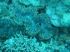 sm_AR-P9034189.JPG