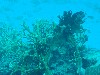sm_AR-P9034216.JPG