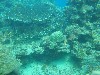 sm_P9033994.JPG