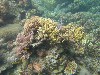 sm_P9034092.JPG