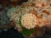 sm_P9034107.JPG