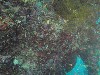 sm_P9034123.JPG