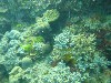 sm_P9034133.JPG