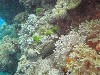 sm_P9034135.JPG