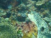 sm_P9034146.JPG