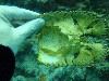 sm_P9034155.JPG