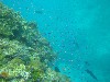 sm_P9034165.JPG