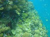 sm_P9034168.JPG