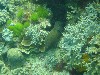 sm_P9034176.JPG
