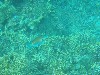 sm_P9034288.JPG