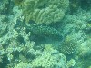 sm_P9034319.JPG