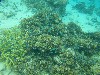 sm_P9034338.JPG