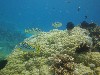 sm_P9034351.JPG