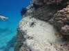 sm_P9034354.JPG