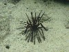 sm_P9034355.JPG