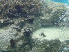 sm_P9034357.JPG