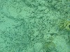 sm_P9034380.JPG