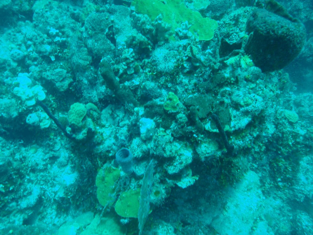 sm_478.JPG
