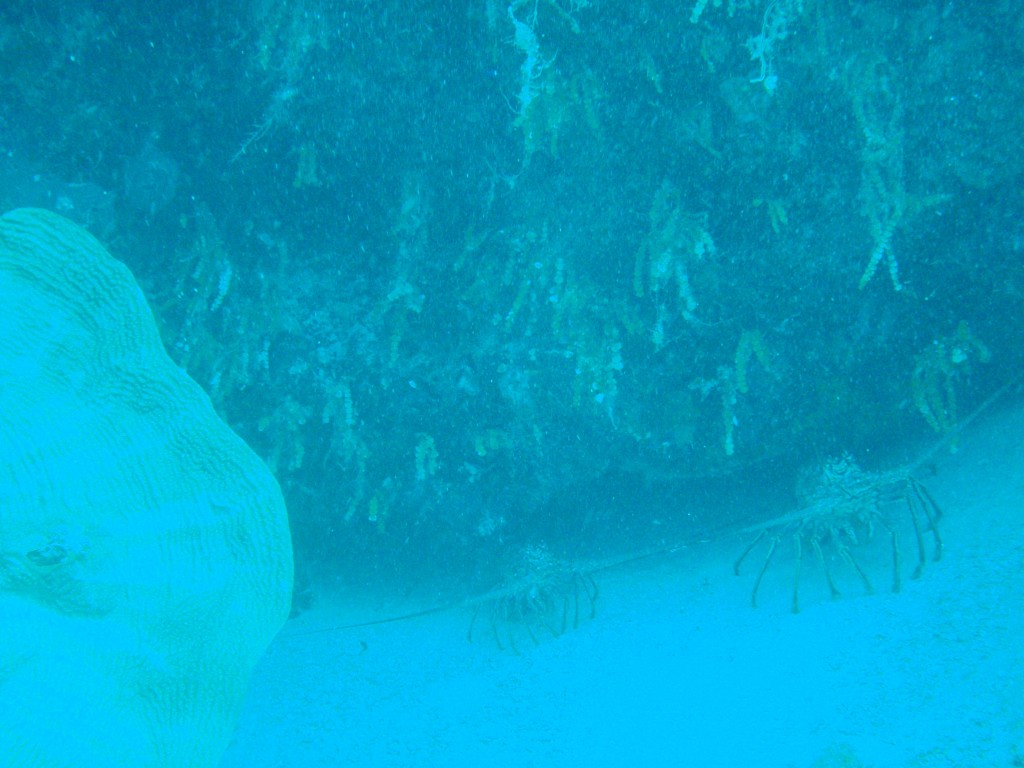 sm_494.JPG