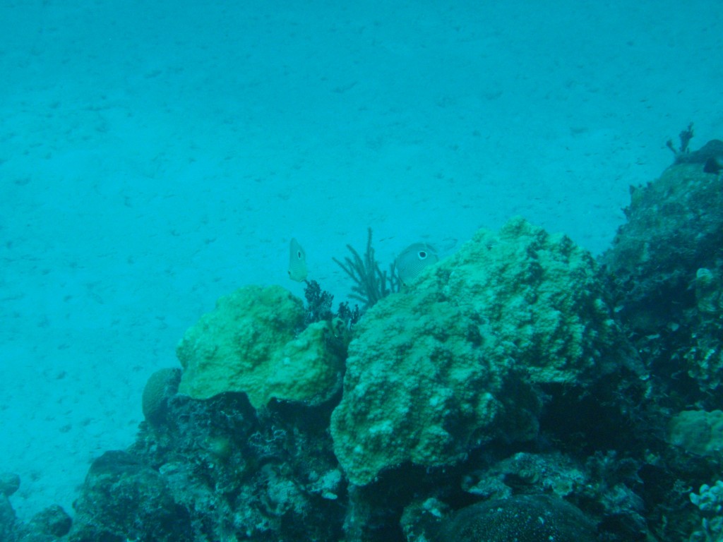 sm_523.JPG