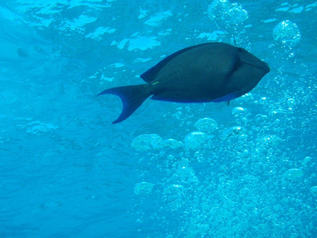 sm_535.JPG