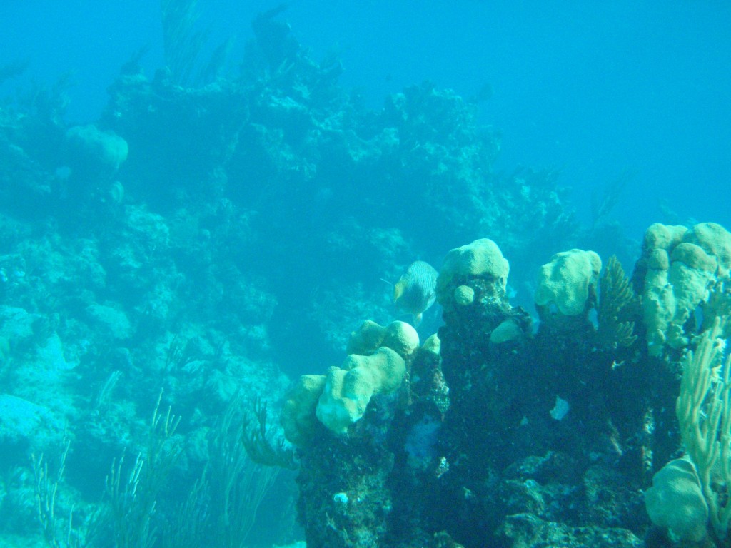 sm_538.JPG
