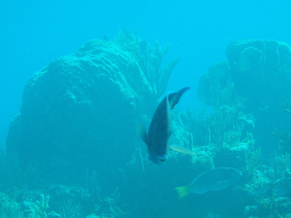 sm_541.JPG