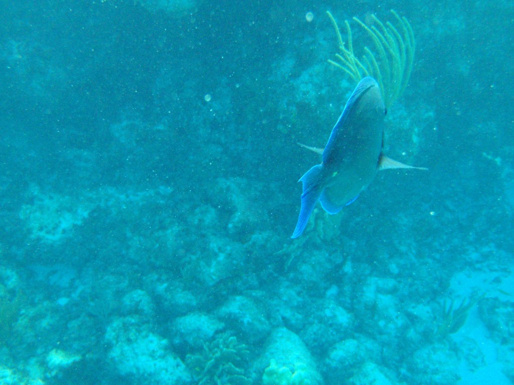sm_546.JPG