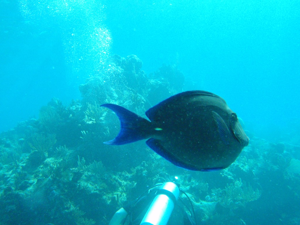 sm_554.JPG