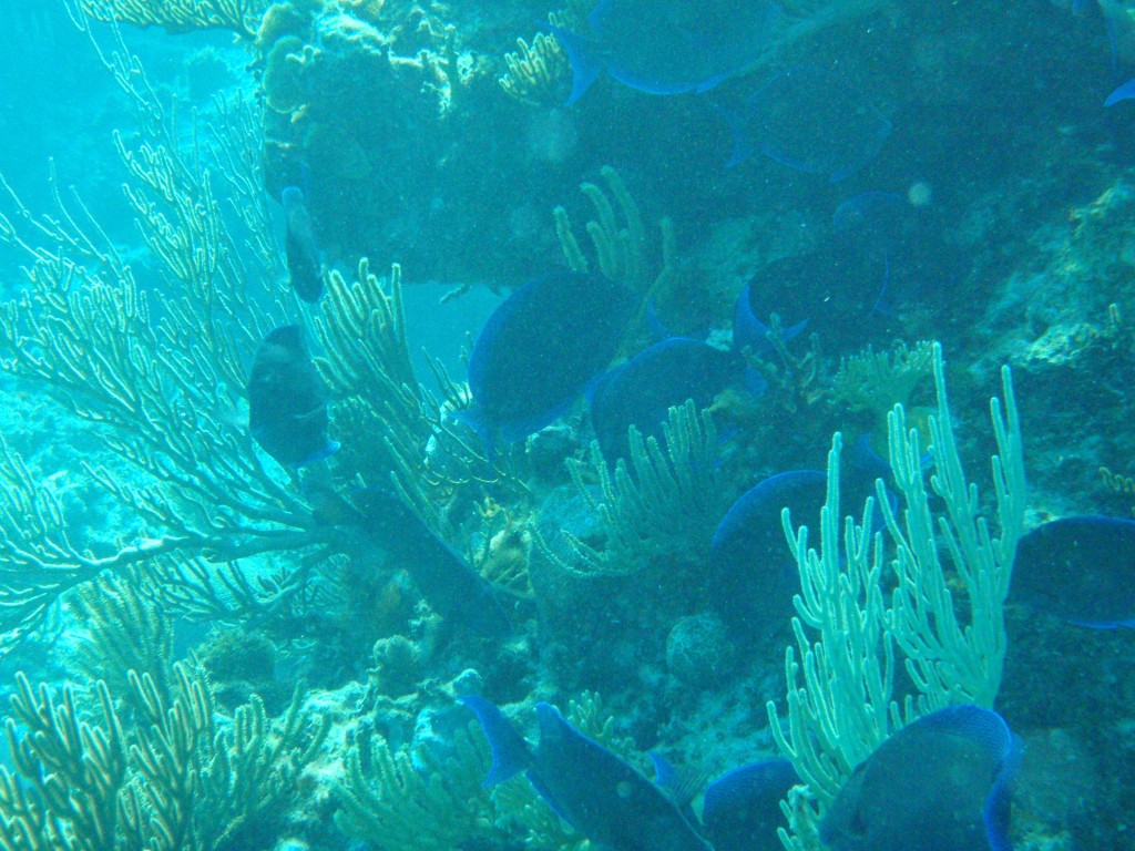 sm_559.JPG