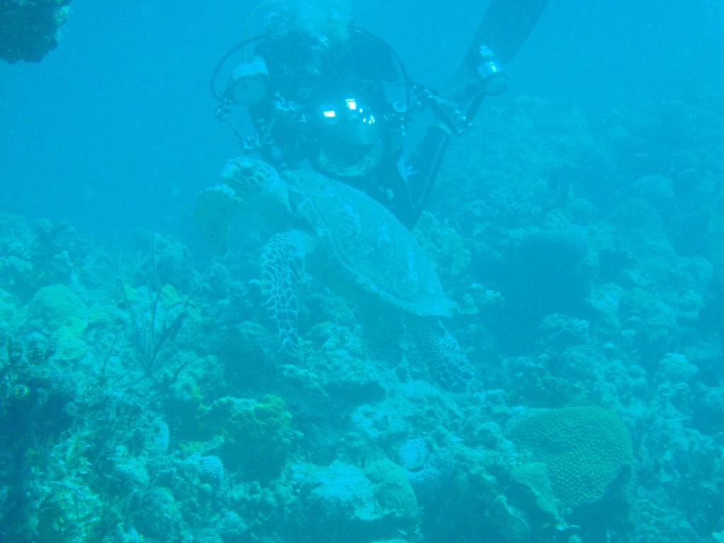 sm_PA297093.JPG