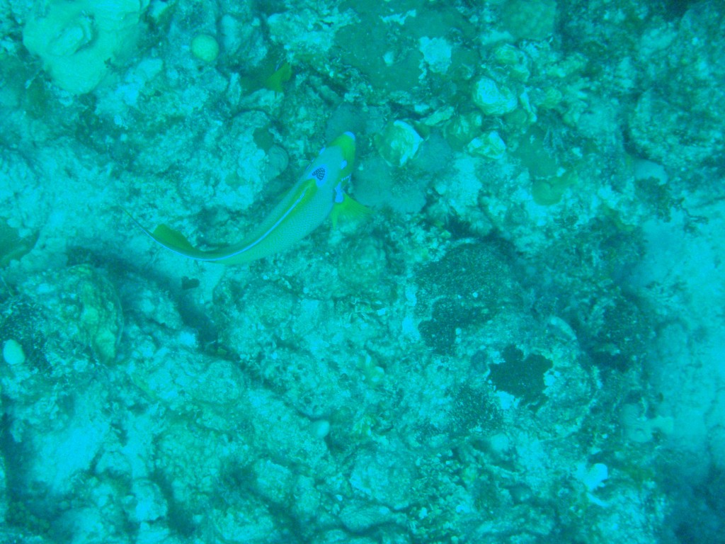 sm_PA297148.JPG
