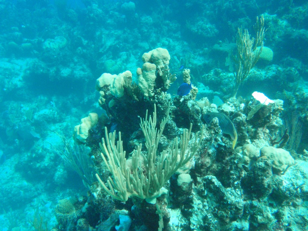 sm_PA297174.JPG