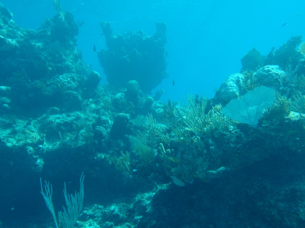 sm_PA297198.JPG