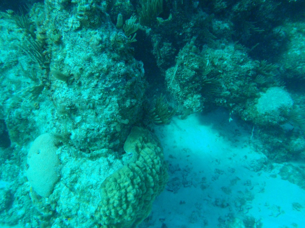 sm_PA297251.JPG