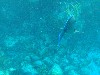 sm_546.JPG