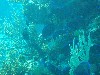 sm_559.JPG