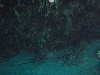 sm_PA297114.JPG
