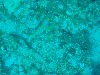 sm_PA297148.JPG
