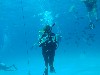 sm_PA297153.JPG