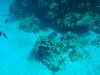 sm_PA297164.JPG