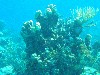 sm_PA297172.JPG