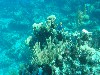 sm_PA297174.JPG