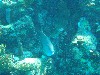 sm_PA297182.JPG