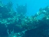 sm_PA297198.JPG