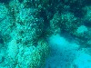 sm_PA297251.JPG